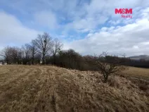 Prodej louky, Budišov nad Budišovkou, 6470 m2