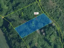 Dražba lesa, Benešov u Semil, 1110 m2