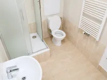 Pronájem bytu 1+1, Brno, Olomoucká, 35 m2