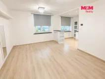 Pronájem bytu 1+1, Louny, Smetanova, 42 m2