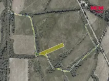Prodej louky, Nové Mitrovice, 11703 m2