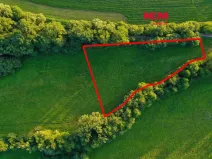 Prodej louky, Horní Bříza, 4590 m2