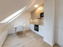 Pronájem bytu 1+kk, Praha - Bubeneč, Veletržní, 30 m2