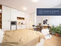 Pronájem bytu 1+kk, Brno, Cejl, 31 m2