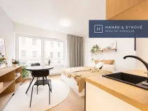 Pronájem bytu 1+kk, Brno, Cejl, 31 m2