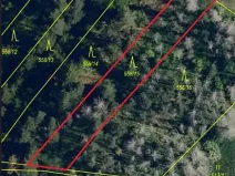 Prodej lesa, Křoví, 1060 m2