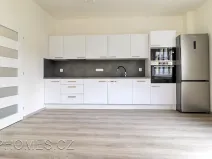 Pronájem bytu 2+kk, Praha - Nusle, Petra Rezka, 51 m2