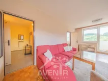 Pronájem bytu 2+1, Brumov-Bylnice, Am. Kutinové, 56 m2