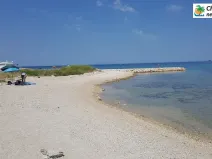 Prodej lesa, Novalja, Chorvatsko, 1080 m2