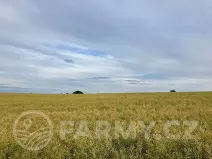 Prodej pole, Cerekvička-Rosice, 71148 m2