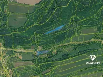 Prodej lesa, Bratřejov, 4108 m2