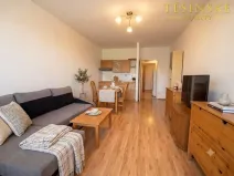 Prodej bytu 1+kk, Český Těšín, Slezská, 29 m2