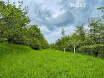 Prodej sadu/vinice, Lhenice, 3223 m2