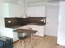 Pronájem bytu 1+kk, Brno, Studentská, 25 m2