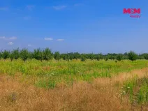 Prodej pole, Rakvice, 21280 m2