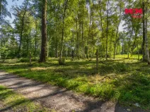 Prodej pozemku pro bydlení, Hradištko, 3825 m2