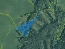 Dražba louky, Kynšperk nad Ohří, 52482 m2