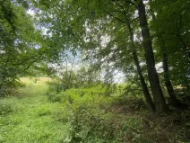 Prodej pozemku, Olbramice, 225 m2