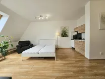 Pronájem bytu 1+kk, Brno, Masarykova, 33 m2