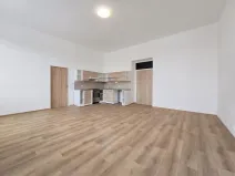 Pronájem bytu 4+kk, Teplice, Dubská, 97 m2