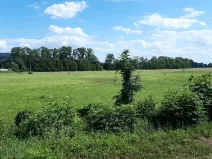 Prodej zahrady, Leština, 1099 m2