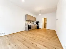 Pronájem bytu 1+kk, Praha - Břevnov, Pod Drinopolem, 30 m2