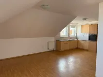 Pronájem bytu 1+kk, České Budějovice, Skuherského, 42 m2