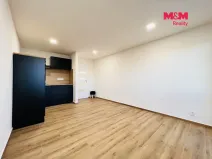 Pronájem bytu 1+kk, Ostrava - Moravská Ostrava, 30. dubna, 28 m2