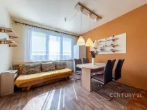 Prodej bytu 1+1, České Budějovice - České Budějovice 2, J. Opletala, 36 m2