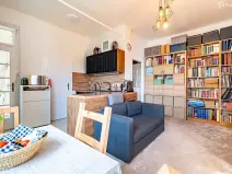 Prodej bytu 1+1, Brno, Pod kaštany, 49 m2