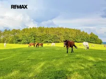 Prodej pozemku pro bydlení, Lhenice, 1463 m2