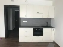 Pronájem bytu 1+kk, Olomouc, Třída Jiřího Pelikána, 35 m2