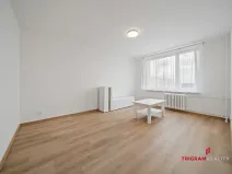 Pronájem bytu 1+1, Hradec Králové - Nový Hradec Králové, Fričova, 38 m2
