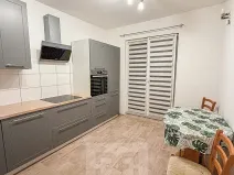 Pronájem bytu 2+1, Ostrov, S. K. Neumanna, 56 m2