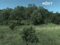 Prodej louky, Dobrkovice, 7192 m2