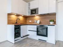 Pronájem bytu 1+kk, Brno, Opuštěná, 29 m2