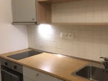 Pronájem bytu 1+1, Praha - Karlín, Březinova, 41 m2