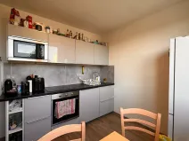 Pronájem bytu 2+1, Brno, Dalimilova, 63 m2