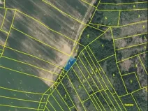Prodej lesa, Smilovy Hory, 501 m2