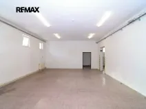 Pronájem obchodního prostoru, Brněnec, 238 m2