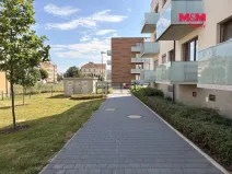 Pronájem bytu 3+kk, Olomouc - Nová Ulice, Třída Jiřího Pelikána, 96 m2