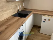 Pronájem bytu 1+kk, Praha - Podolí, Kaplická, 25 m2