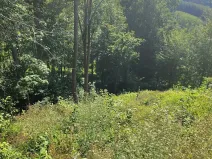 Prodej lesa, Benešov u Semil, 4922 m2