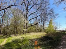 Prodej pozemku pro bydlení, Rožmitál na Šumavě, 7156 m2