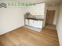 Pronájem bytu 1+kk, Dolní Bělá, 2 m2