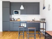 Pronájem bytu 1+kk, Praha - Žižkov, U Viktorie, 40 m2