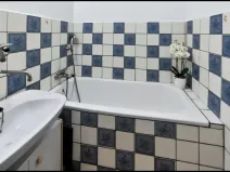 Prodej bytu 1+1, Ostrava, Opavská, 36 m2