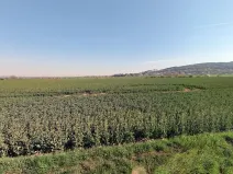 Prodej podílu pozemku pro bydlení, Martinice, 1521 m2