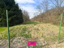 Prodej chalupy, Habrovany, 354 m2