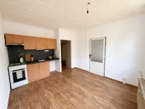 Pronájem bytu 1+1, Litvínov, Čapkova, 38 m2